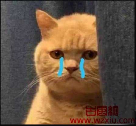 佑来喽~别人都忙着结婚，我跟他们可不一样！