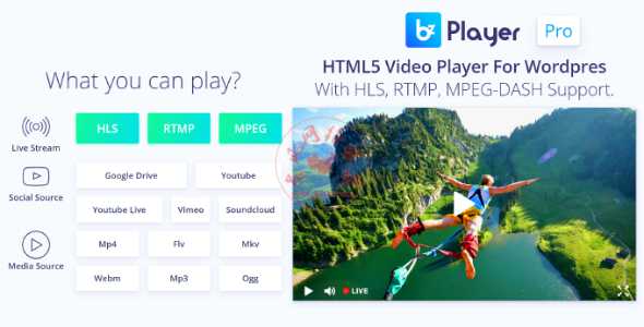 WordPress Html5视频播放器插件BzPlayer Pro v1.8中文汉化版