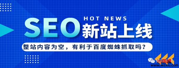 2021以后不要再使用新域名建站优化了