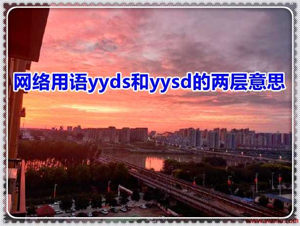 yyds什么意思 网络用语yyds和yysd的两层意思