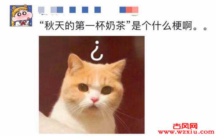 秋天的第一杯奶茶是什么梗?这个世界还有单身狗的活路吗