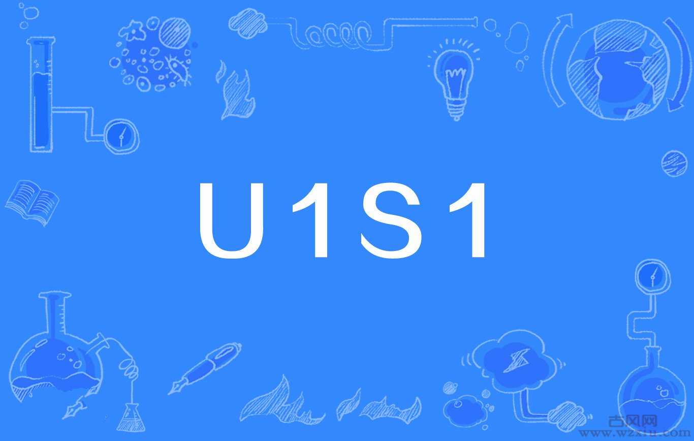 u1s1这个网络用词是什么意思？