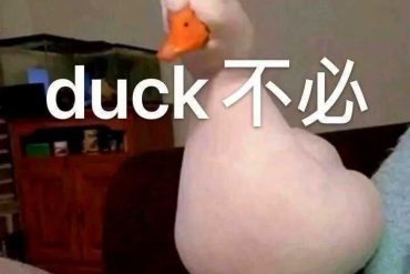 duck不必是什么意思？网络用语duck怎么读