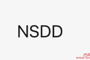 nsdd这个网络用语是什么意思