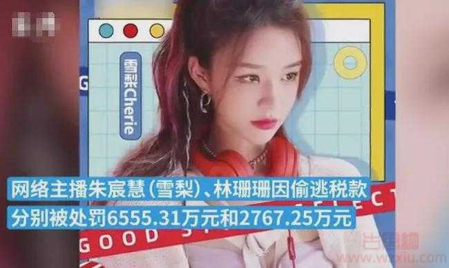 美女网红雪梨、林珊珊偷逃个人所得税共被罚超9000万！直播间也被暂停