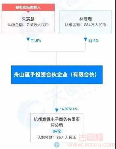 美女网红雪梨、林珊珊偷逃个人所得税共被罚超9000万！直播间也被暂停