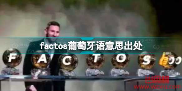 factos葡萄牙语什么意思?factos梗意思来源出处介绍