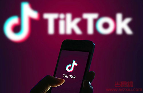 【ios软件】国际版抖音TikTok 29.1.3 免拔卡全球解锁版分享！