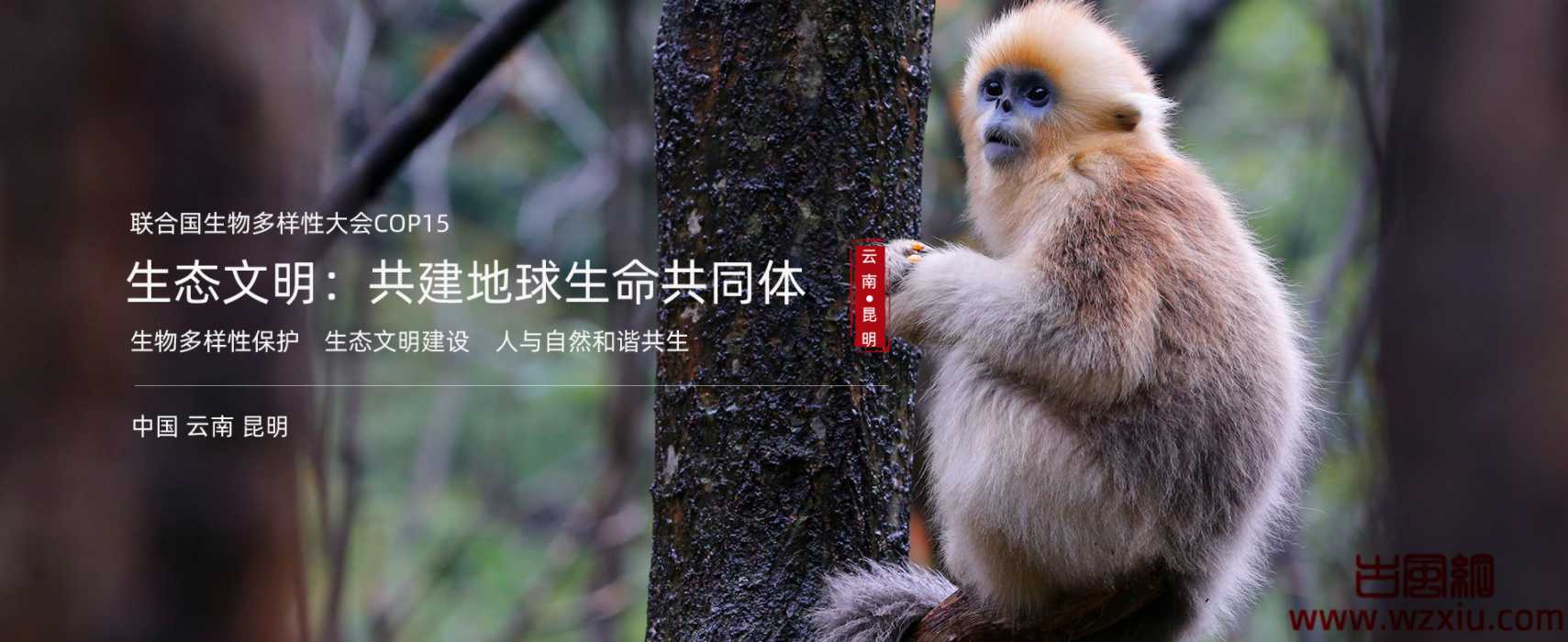 2021昆明生物多样性大会的会议地址(第十五届生物多样性大会)-古风网络博客 2021昆明生物多样性大会的会议地址(第十五届生物多样性大会)-古风网络博客