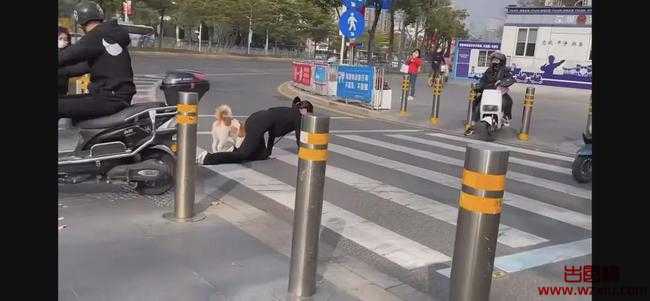 美女当街跪地爬行拴狗绳学狗叫?难道又是“主人的任务”