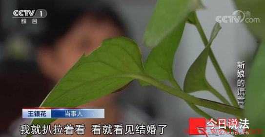 细节震惊全网江苏女孩一女侍11夫:没了底线的人到底有多可怕