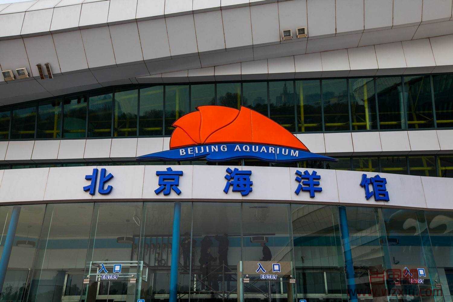 2022北京海洋馆第一季度表演时间和开闭馆时间
