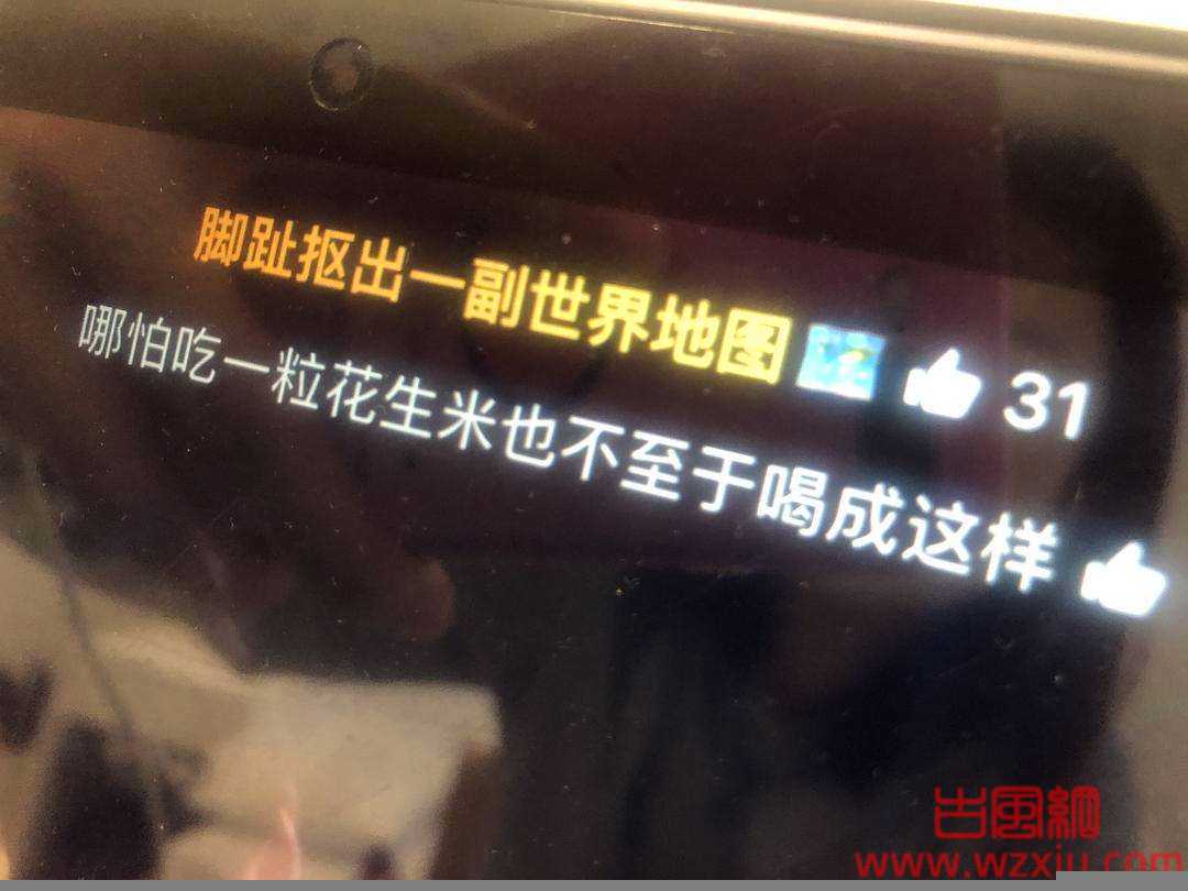 但凡你吃一粒花生米也不至于醉成这样是什么意思？