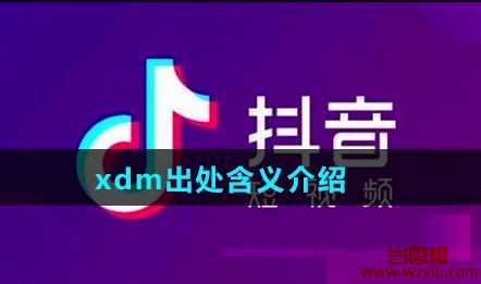 网络用语xdm是什么意思?和hxd有什么不同