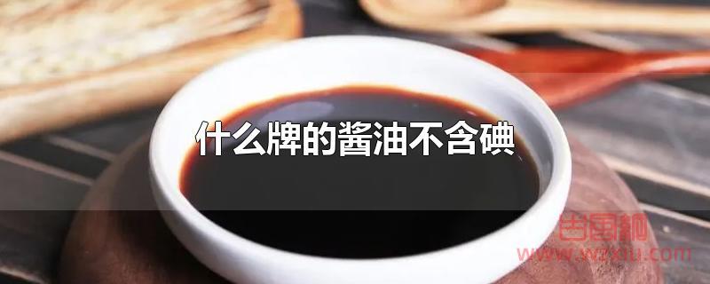 什么牌的酱油不含碘？