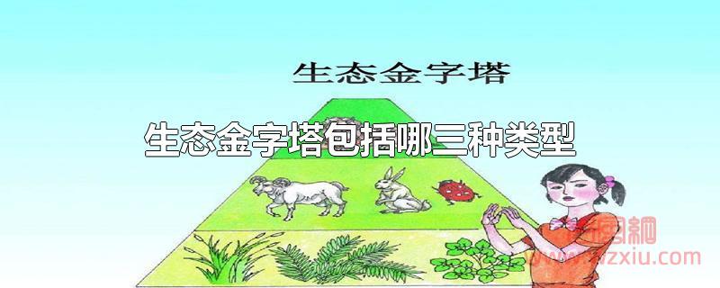 生态金字塔包括哪三种类型？