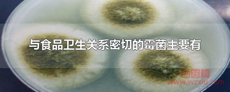 与食品卫生关系密切的霉菌主要有 与食品卫生关系密切的霉菌主要有