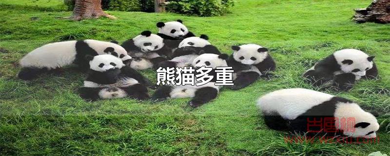 熊猫多重