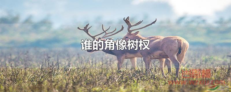 谁的角像树杈 谁的角像树杈