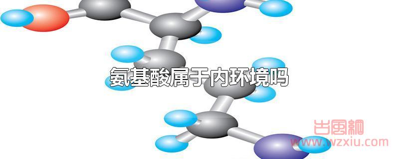 氨基酸属于内环境吗?