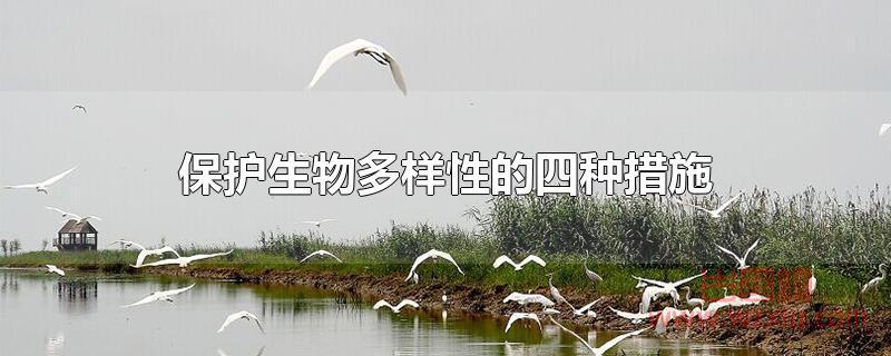 保护生物多样性的四种措施？