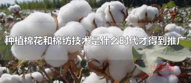 种植棉花和棉纺技术是什么时代才得到推广?