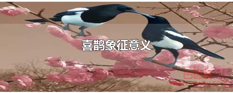 喜鹊象征的意义是什么？