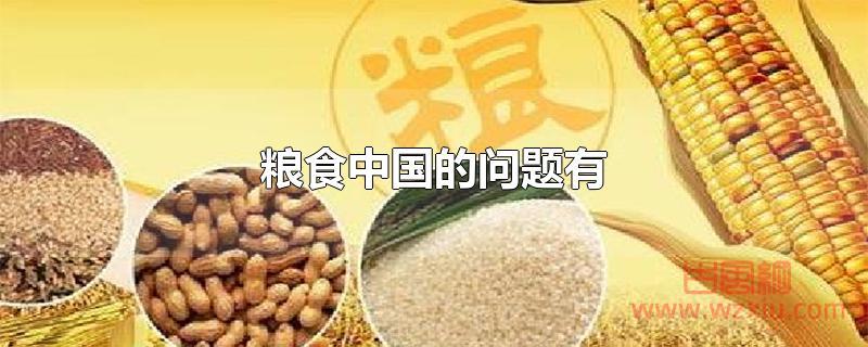 中国的粮食问题有哪些？