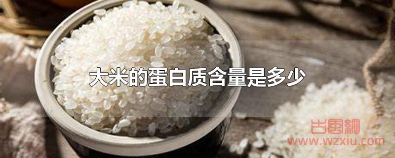 大米的蛋白质含量是多少
