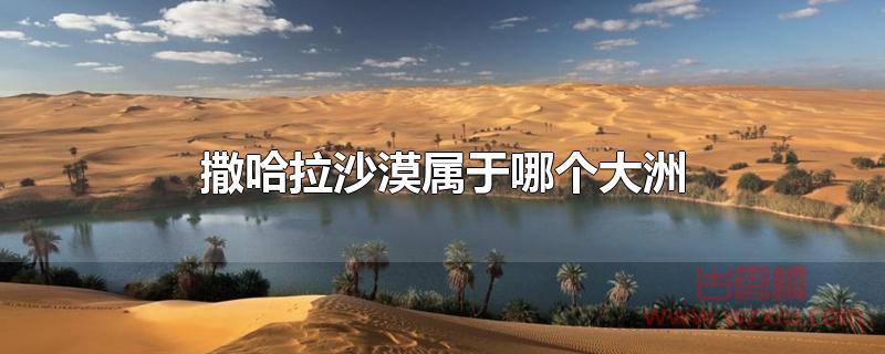 撒哈拉沙漠属于哪个大洲？