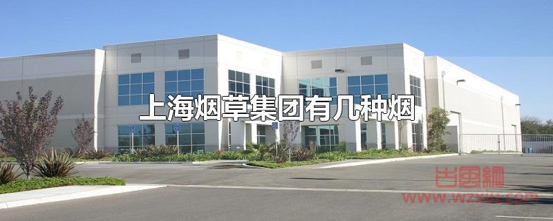 上海烟草集团有几种烟 上海烟草集团有几种烟?