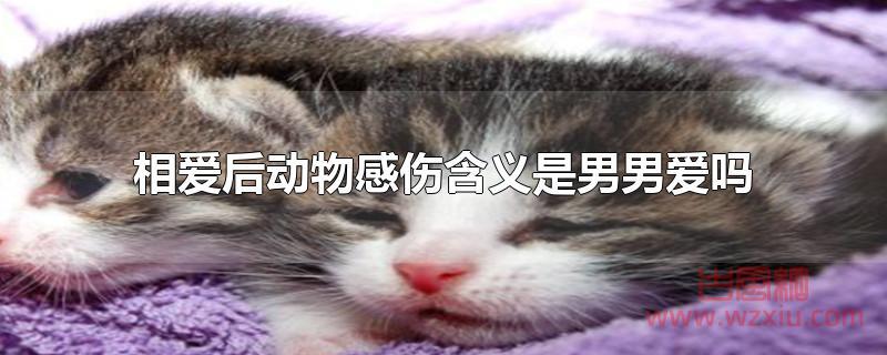 相爱后动物感伤含义是男男爱吗?