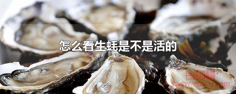 怎么看生蚝是不是活的 怎么看生蚝是不是活的?