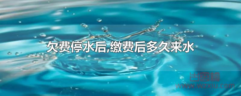 欠费停水后再缴费后多久来水?