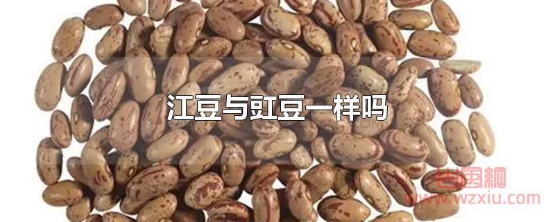 江豆与豇豆一样吗？