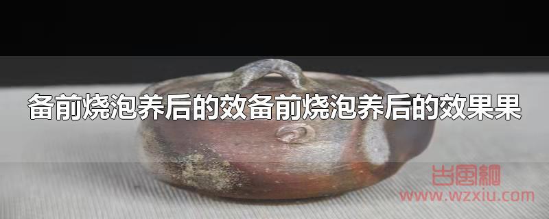 备前烧泡养后的效果怎么样？