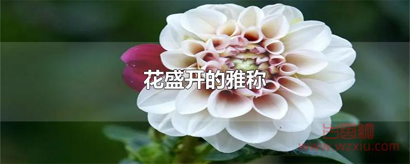 花盛开的雅称是什么？