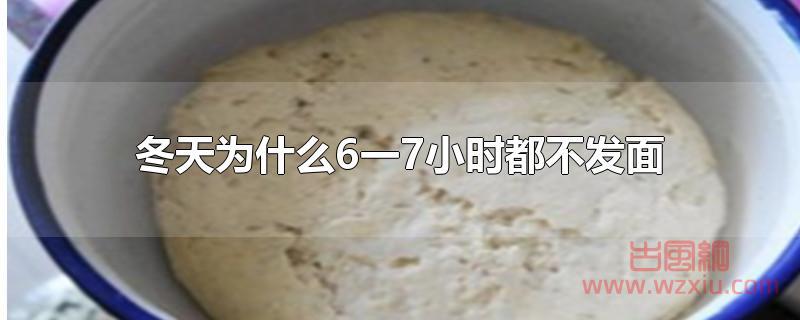 冬天为什么6一7小时都不发面？