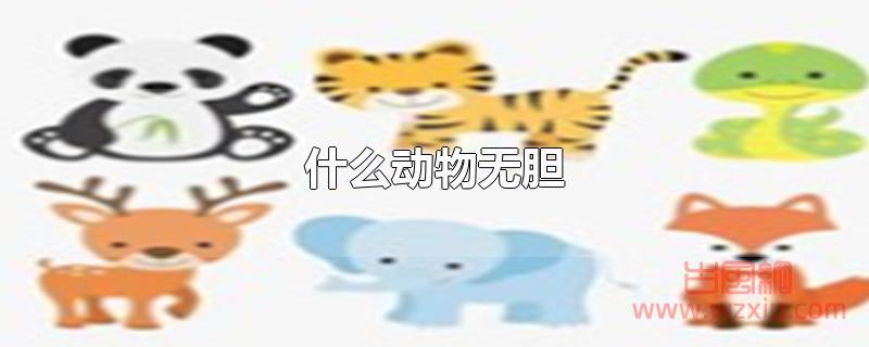 什么动物无胆？