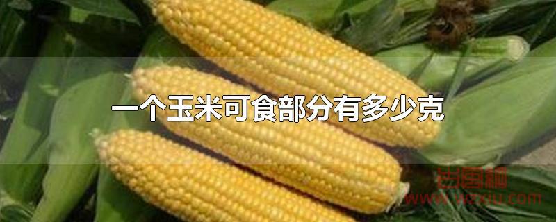 一个玉米可食部分有多少克？