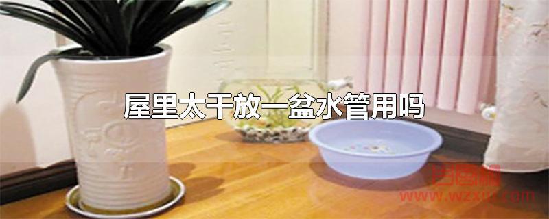 屋里太干放一盆水管用吗？