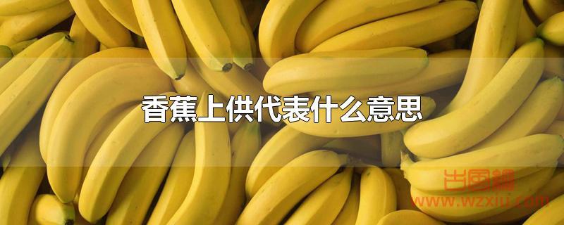 香蕉上供代表什么意思?