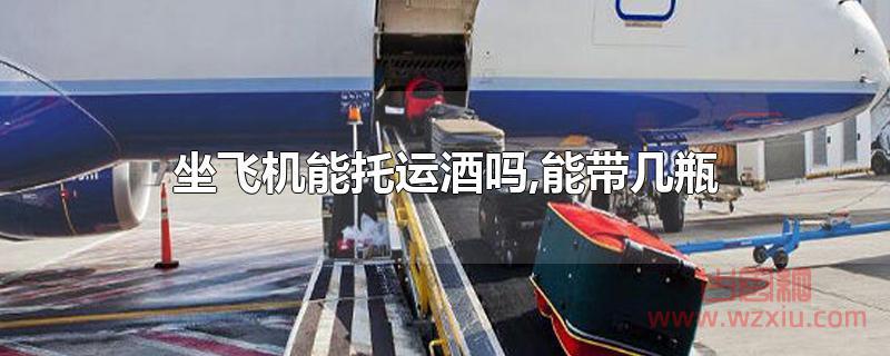 坐飞机能托运酒吗?最多能带几瓶？