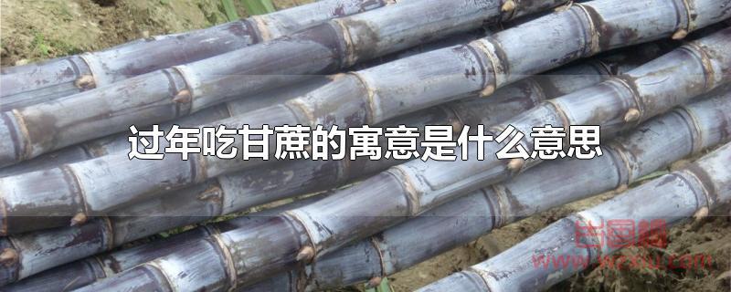过年吃甘蔗的寓意是什么?