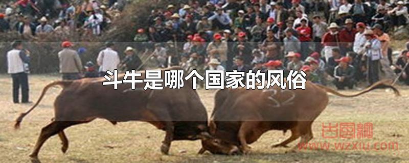 斗牛是哪个国家的风俗？