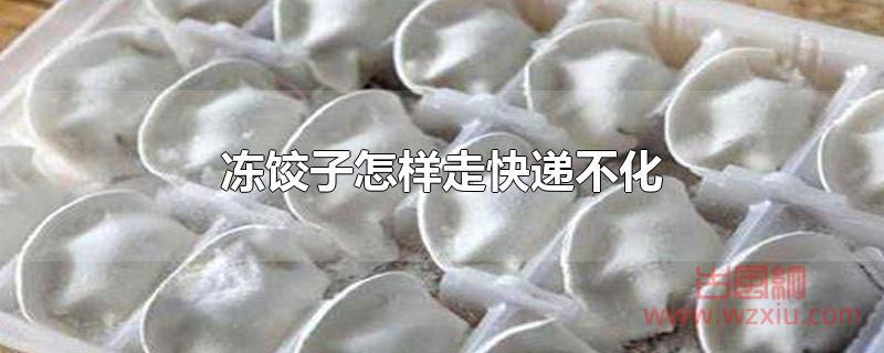 冻饺子怎样走快递不化 冻饺子怎样走快递不化?