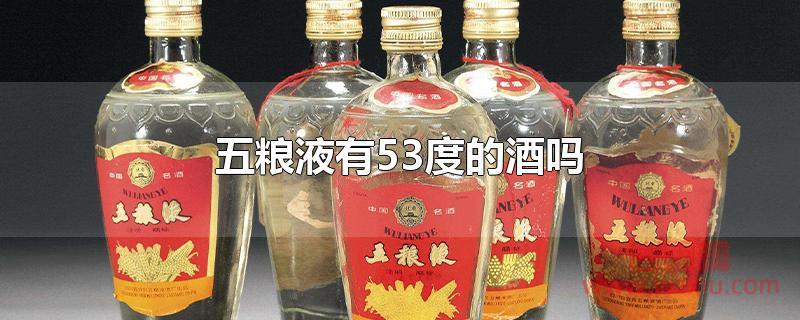 五粮液有53度的酒吗？