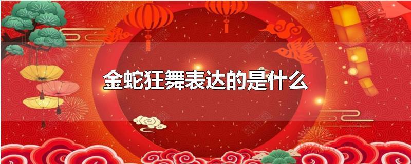 金蛇狂舞表达的是什么？