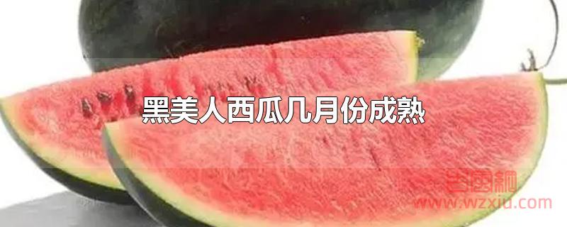 黑美人西瓜几月份成熟？