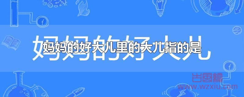 妈妈的好大儿里的大儿指的是什么?